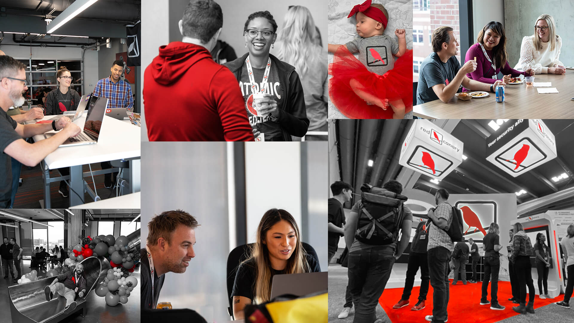Red Canary employees